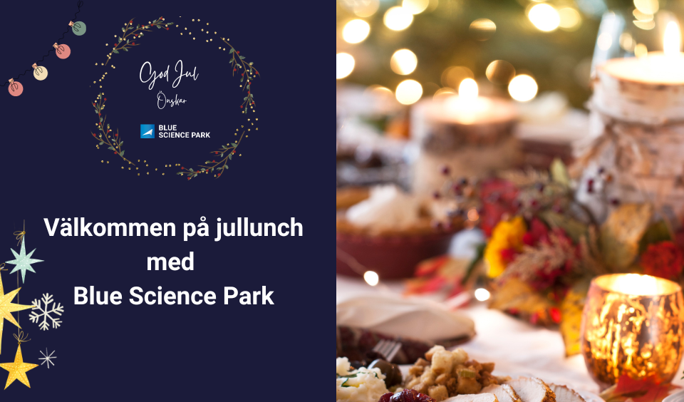 God Jul Önskar Blue Science Park (2)